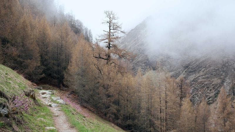 Calendar and schedule planning