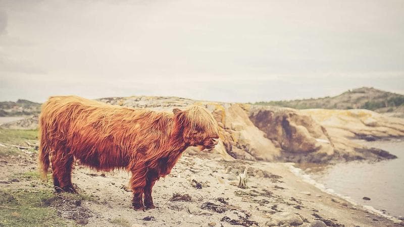 Transition from paper to digital